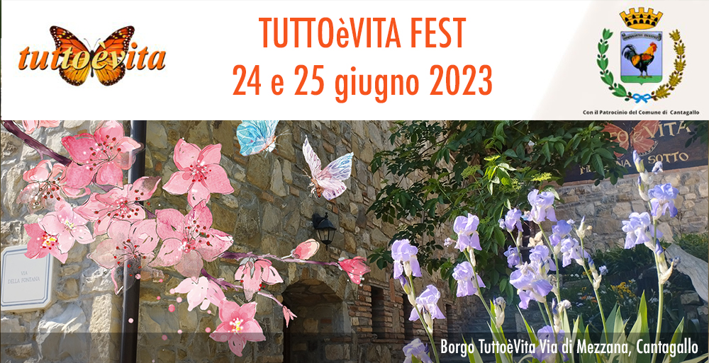 TUTTOèVITA FEST
